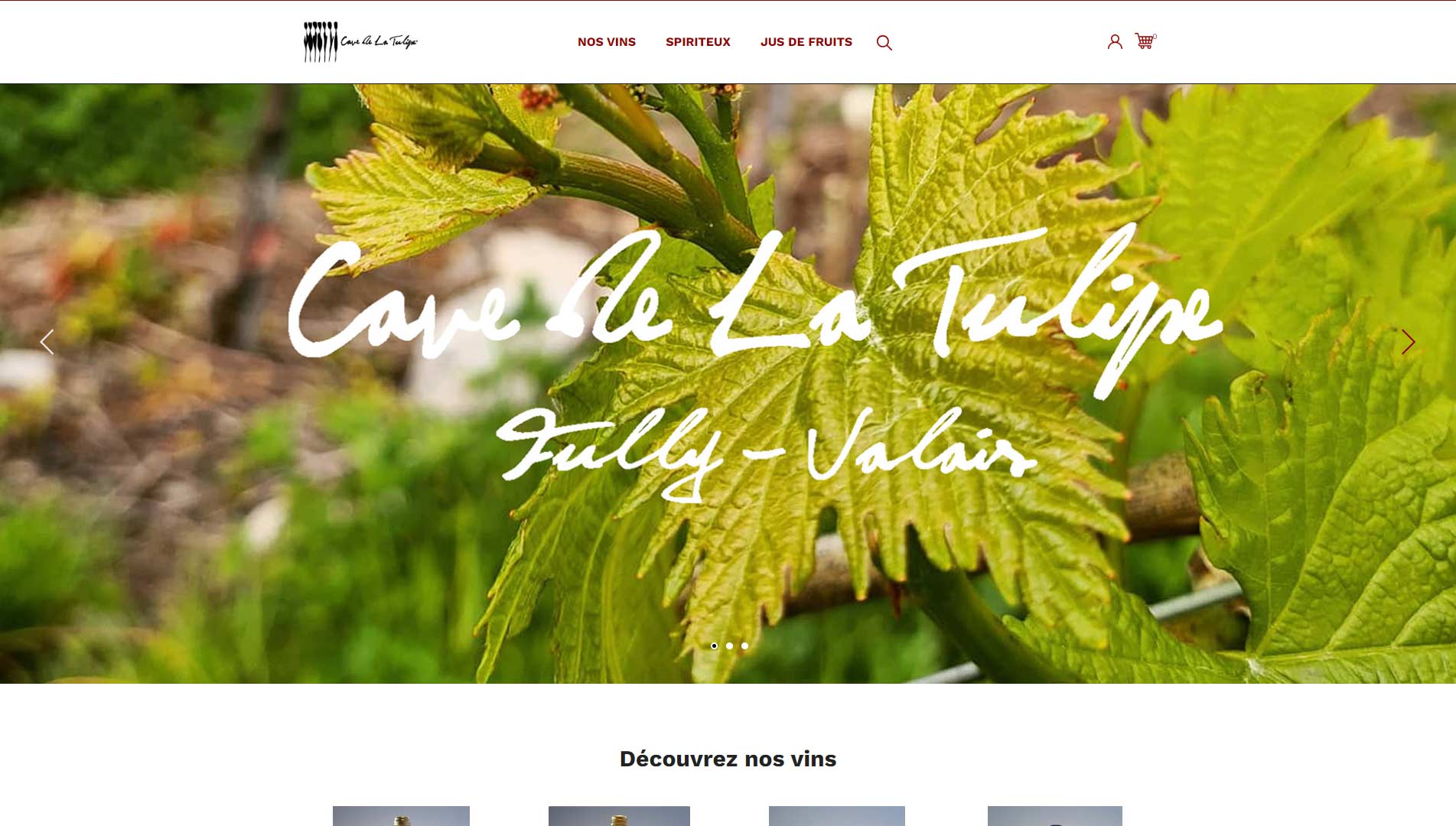 Homepage shop Domaine Dussex