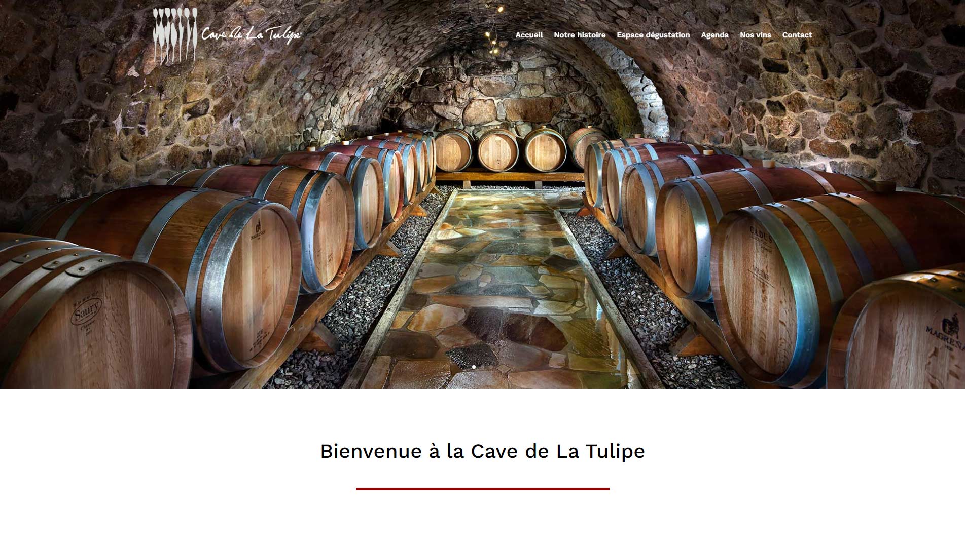 tulipe-website-homepage Homepage Domaine Dussex